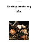 Kỹ thuật nuôi trồng nấm