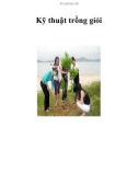 Kỹ thuật trồng giỏi