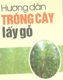 Kỹ thuật trồng cây lấy gỗ