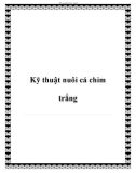 Các kỹ thuật nuôi cá chim trắng