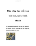 Biện pháp hạn chế rụng trái cam, quýt, bưởi, chanh