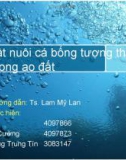 Bài thuyết trình: Kỹ thuật nuôi cá bống tượng thâm canh trong ao đất