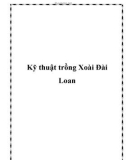 Kỹ thuật trồng Xoài Đài Loan