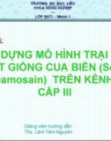 Chuyên đề: XÂY DỰNG MÔ HÌNH TRẠI SẢN XUẤT GIỐNG CUA BIỂN (Scylla paramamosain) TRÊN KÊNH ĐÀO CẤP III