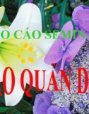 Báo cáo seminar bảo quản thực phẩm dứa