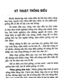 Kỹ thuật trồng điều theo phương pháp mới: Phần 2