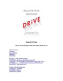 Drive, the Surprising Truth about What Motivates Us - Daniel H Pink