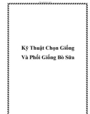 Kỹ Thuật Chọn Giống Và Phối Giống Bò Sữa.