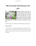 Một số kỹ thuật trồng Phong lan đơn giản