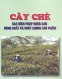 Cây chè các biện pháp nâng cao năng suất part 1