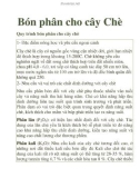 Bón phân cho cây Chè