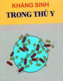 Một số Kháng sinh trong thú y: Phần 1