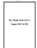 Kỹ Thuật Nuôi Vịt Cv Super M2 Và M2