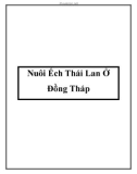 Nuôi Ếch Thái Lan Ở Đồng Tháp