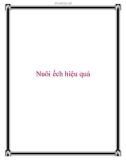 Nuôi ếch hiệu quả