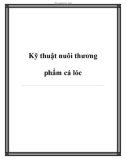 Kỹ thuật nuôi thương phẩm cá lóc