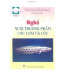 Hướng dẫn nuôi thương phẩm các loài cá lóc: Phần 1