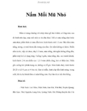 Nấm Mối Mũ Nhỏ