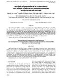 Một số đặc điểm sinh trưởng hệ sợi, sự hình thành và phát triển quả thể nấm Linh chi (Ganoderma orbiforme) FM6 thu thập tại Vườn Quốc gia Pù Mát