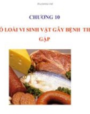 Bài giảng Vi sinh thực phẩm: Chương 10 - Trần Thị Huyền