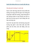 Nuôi cấy không liên tục và nuôi cấy liên tục