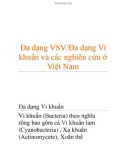 Đa dạng VSV/Đa dạng Vi khuẩn và các nghiên cứu ở Việt Nam