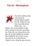 Tảo đỏ - Rhodophyta