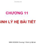 Chương 11 : Sinh lý hệ bài tiết