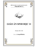 GIÁO ÁN SINH HỌC 11