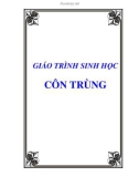 Giáo trình sinh học: Côn trùng