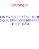 Chương 3: protein và sự chuyển hóa protein trong quá trình chế biến bảo quản thực phẩm