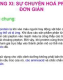 Chương IX: Sự chuyển hóa protein đơn giản