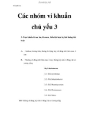 Vi sinh vật - Các nhóm vi khuẩn chủ yếu 3