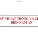 KỸ THUẬT TRỒNG VÀ CHẾ BIẾN NẤM ĂN