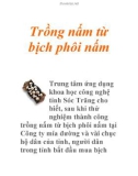 Trồng nấm từ bịch phôi nấm