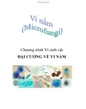 vi nấm