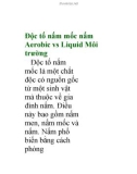 Độc tố nấm mốc nấm Aerobic vs Liquid Môi trường