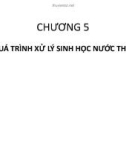 Chương 5 : Qúa trình xử lý sinh học nước thải