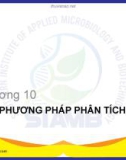 Bài giảng Sinh học phân tử: Chương 10 - Bùi Hồng Quân