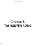 CHƯƠNG 3 - TÀI NGUYÊN RỪNG