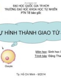 Bài giảng Sự hình thành giao tử