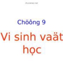 Chương 9: Sinh vật học