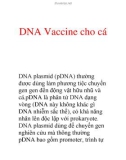 DNA Vaccine cho cá