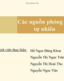 Báo cáo: Các nguồn phóng xạ tự nhiên