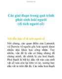 Các giai đoạn trong quá trình phát sinh loài người (di tích người cổ)