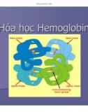 Bài giảng về Hóa học Hemoglobin