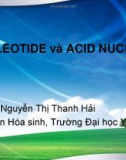 Bài giảng Nucleotide và Acid Nucleic - ĐH Y Hà Nội