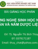 Bài giảng Công nghệ sinh học nấm ăn và nấm dược liệu: Chương 3.2 - TS. Nguyễn Thị Bích Thùy