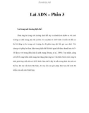 Lai ADN – Phần 3