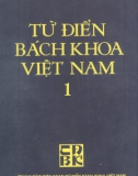 Bách khoa Việt Nam - Từ điển (Tập 1): Phần 1